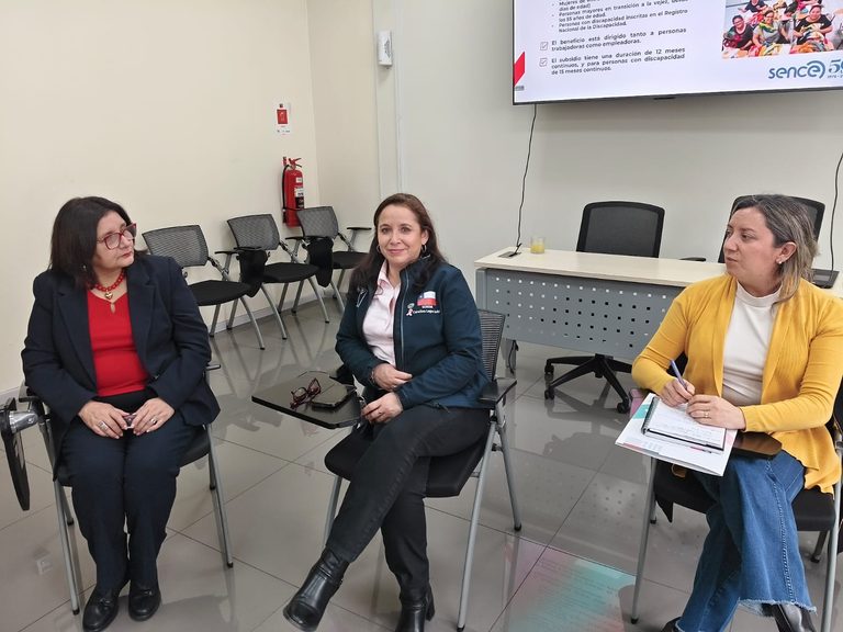 SENCE La Araucanía y Seremi de la Mujer se articulan para fortalecer la equidad de género